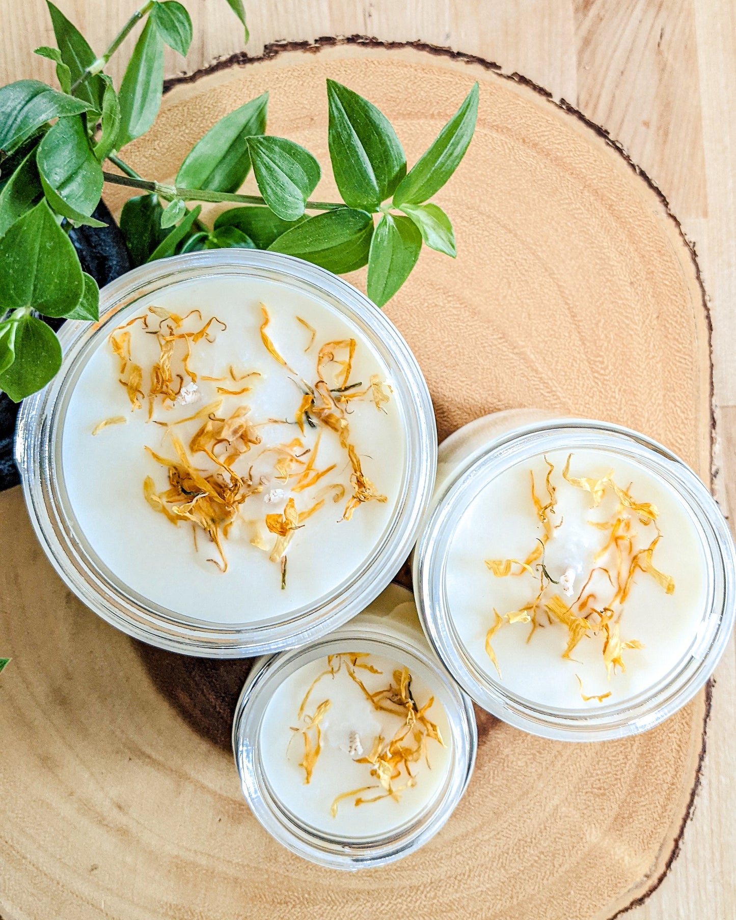 Coconut Chamomile Candle